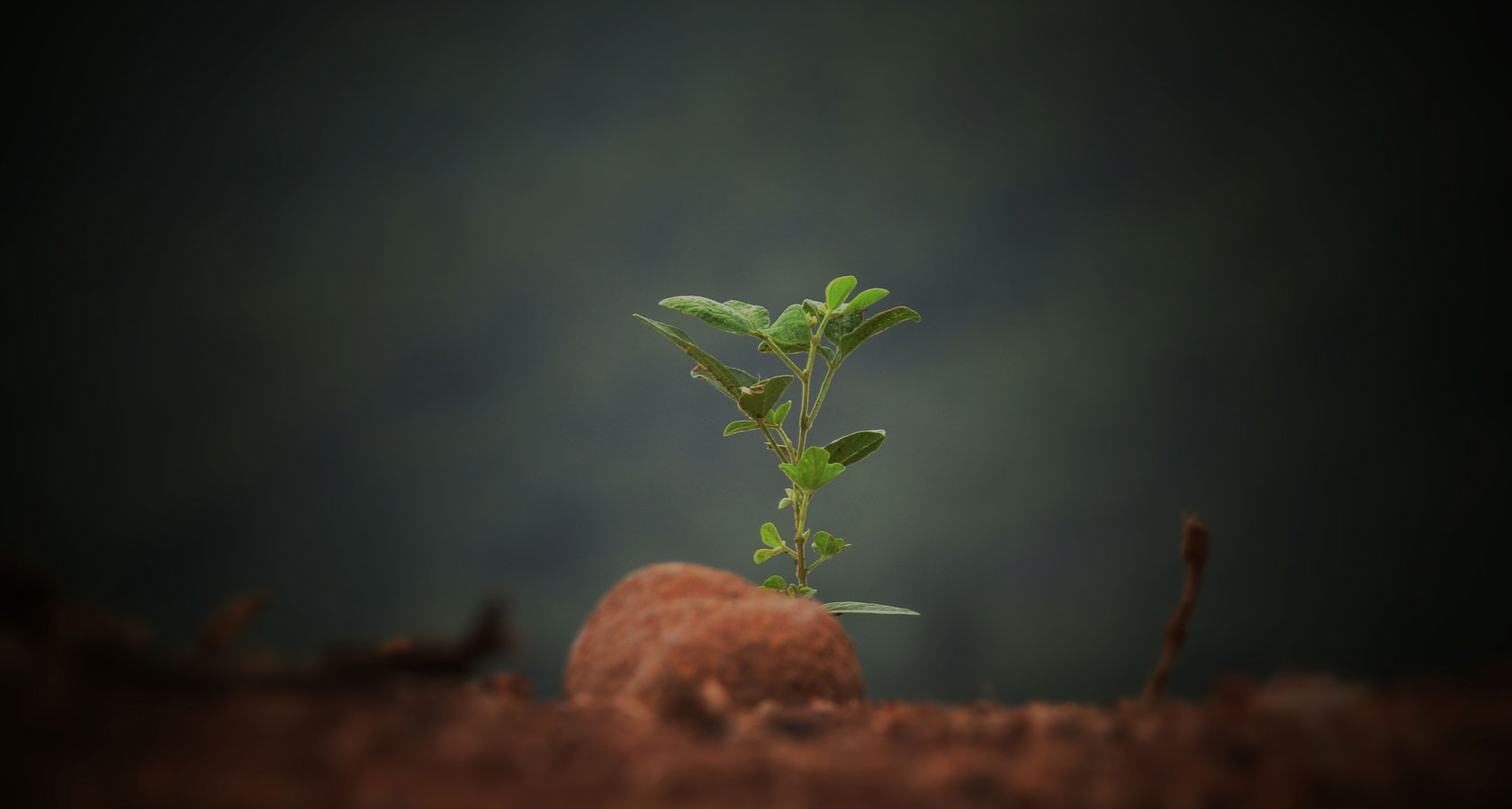 银娱优厚会717(中国)股份有限公司